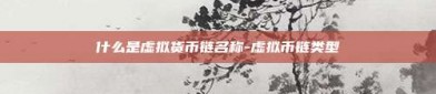 什么是虚拟货币链名称-虚拟币链类型