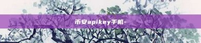 币安apikey手机-