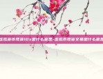 什么平台玩虚拟货币好玩-现在玩什么虚拟币