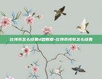 比特币怎么设置d盘数据-比特币钱包怎么设置