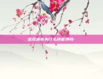 币安为什么没有soc-