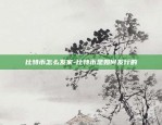 币安为什么经常维护-