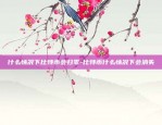 币安用的什么币-