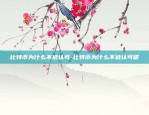 币安网价格-