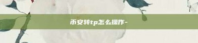 币安转tp怎么操作-