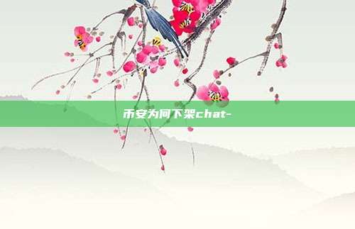 币安为何下架chat-