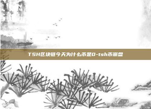 TSH区块链今天为什么币是0-tsh币崩盘