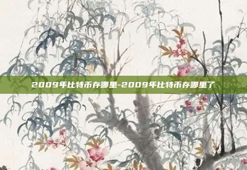 2009年比特币存哪里-2009年比特币存哪里了