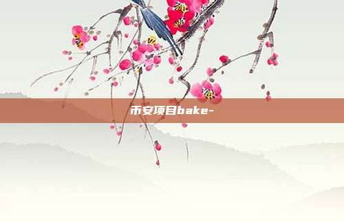 币安项目bake-