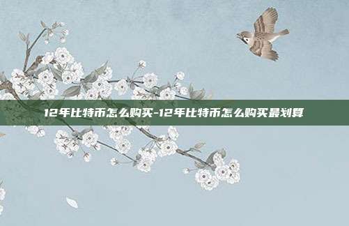 12年比特币怎么购买-12年比特币怎么购买最划算