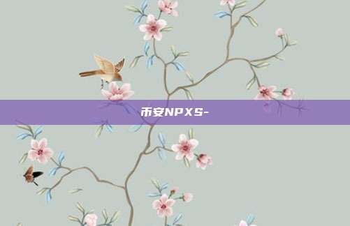 币安NPXS-