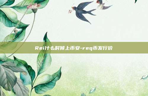 Rei什么时候上币安-req币发行价