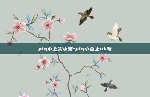 pig币上架币安-pig币要上ok吗