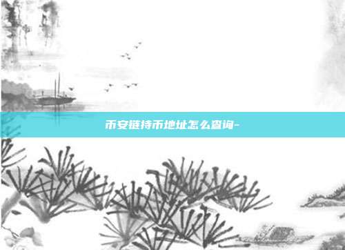 币安链持币地址怎么查询-