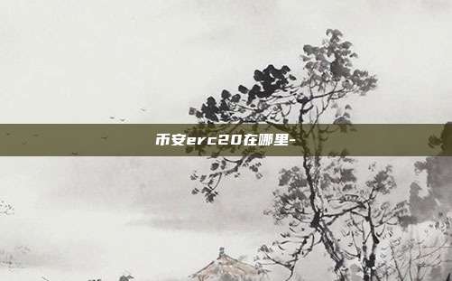 币安erc20在哪里-