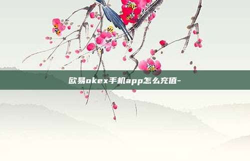 欧易okex手机app怎么充值-