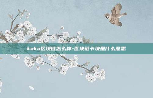 kaka区块链怎么样-区块链卡块是什么意思