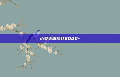 币安美国插针8000-