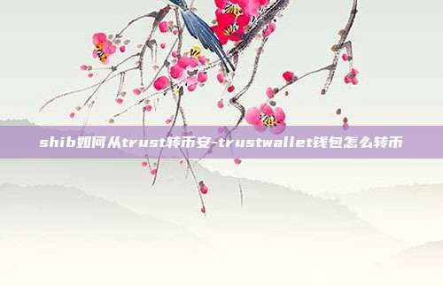 shib如何从trust转币安-trustwallet钱包怎么转币