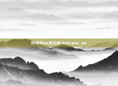 比特币sv怎么样-bitcoin sv