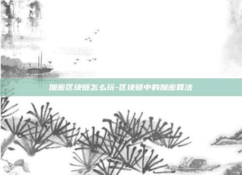 加密区块链怎么玩-区块链中的加密算法