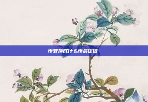 币安换成什么币最保值-