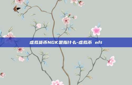 虚拟货币NGK是指什么-虚拟币 nft