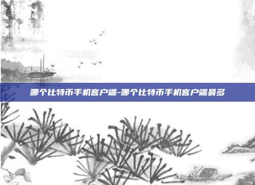 哪个比特币手机客户端-哪个比特币手机客户端最多