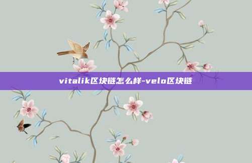 vitalik区块链怎么样-velo区块链