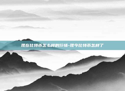 现在比特币怎么样的行情-现今比特币怎样了