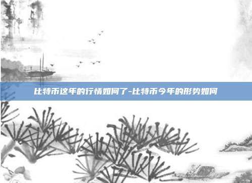 比特币这年的行情如何了-比特币今年的形势如何