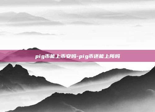 pig币能上币安吗-pig币还能上所吗