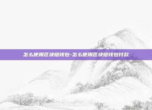 怎么使用区块链钱包-怎么使用区块链钱包付款