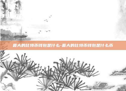 最大的比特币钱包是什么-最大的比特币钱包是什么币