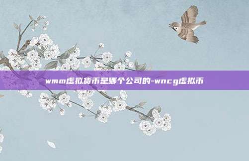 wmm虚拟货币是哪个公司的-wncg虚拟币