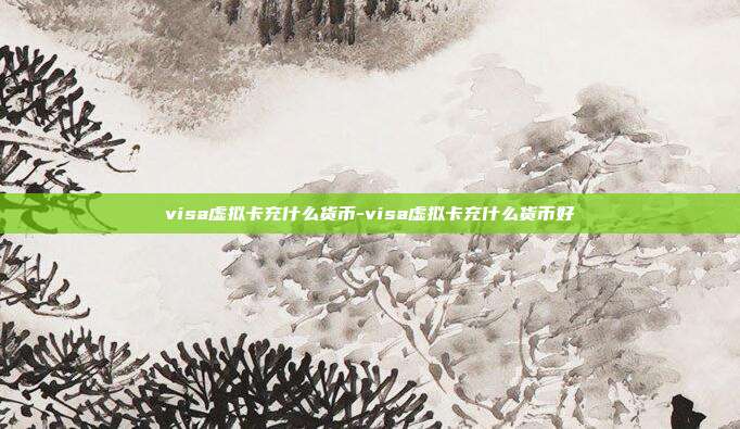 visa虚拟卡充什么货币-visa虚拟卡充什么货币好