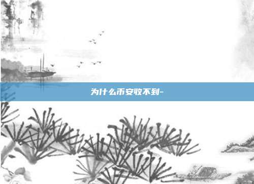 为什么币安收不到-