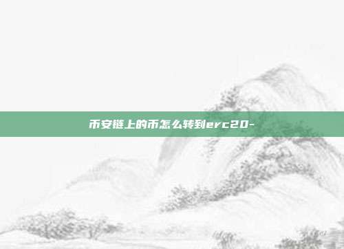 币安链上的币怎么转到erc20-