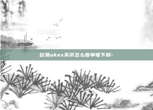 欧易okex买币怎么看单笔下限-