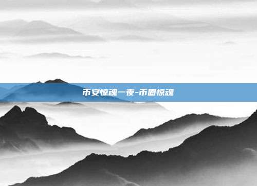 币安惊魂一夜-币圈惊魂