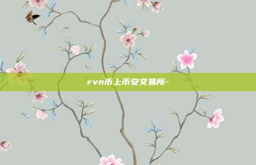 rvn币上币安交易所-