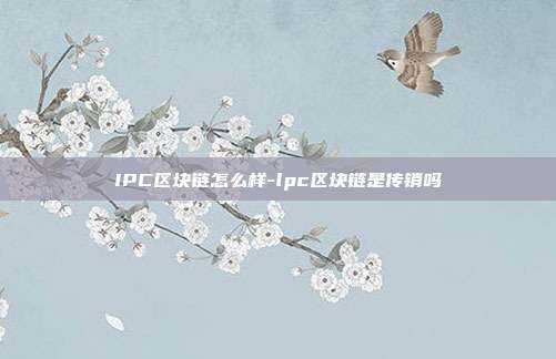 IPC区块链怎么样-lpc区块链是传销吗