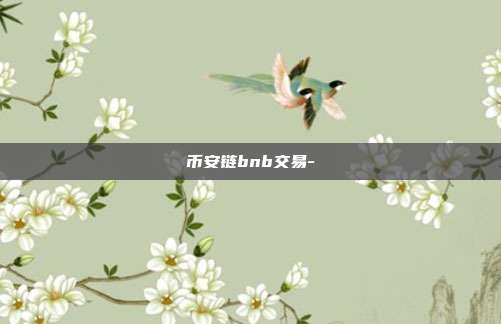 币安链bnb交易-