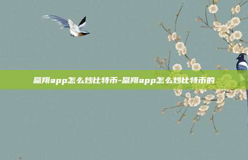 赢翔app怎么炒比特币-赢翔app怎么炒比特币的