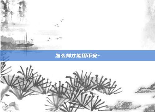 怎么样才能用币安-