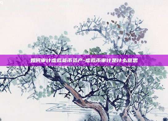 如何审计虚拟货币资产-虚拟币审计是什么意思