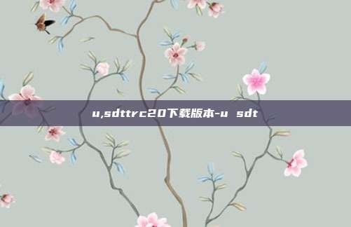 u,sdttrc20下载版本-u sdt