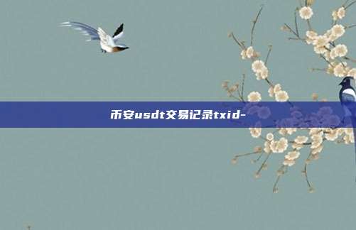 币安usdt交易记录txid-