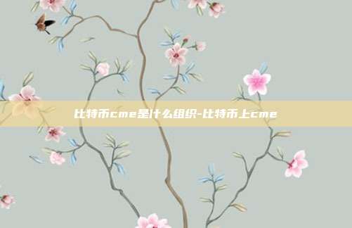 比特币cme是什么组织-比特币上cme