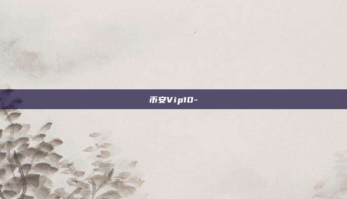 币安Vip10-